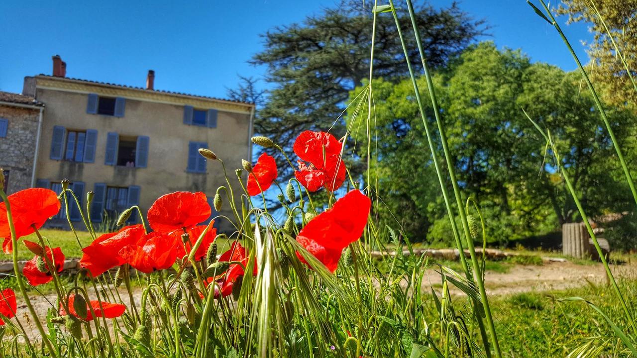 Le Domaine Saint Martin Bed & Breakfast Flassans-sur-Issole Bagian luar foto